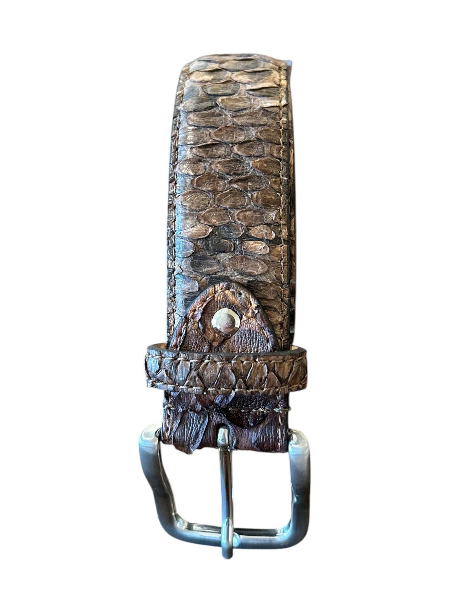 Chocolate Brown Belt Python AQUALTA