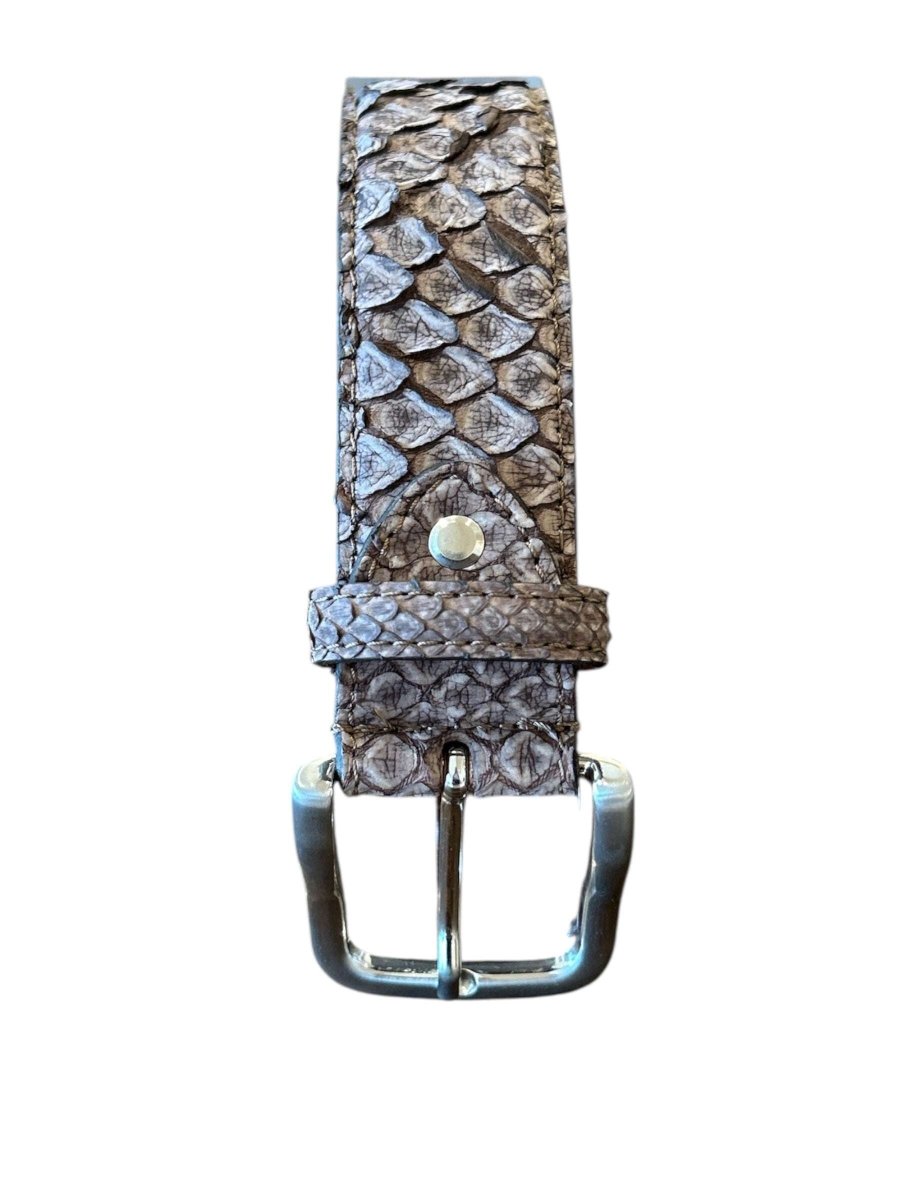 Brown Belt Python - AQUALTA