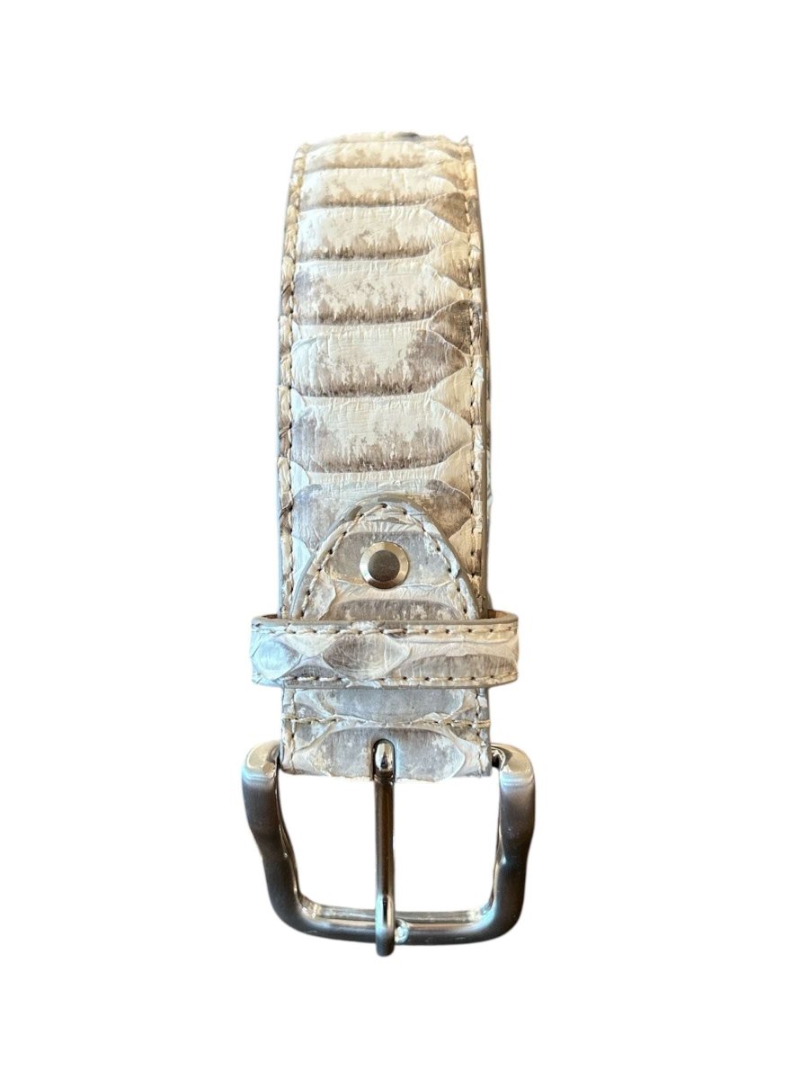 Chagall Mix Cream Belt Python - AQUALTA