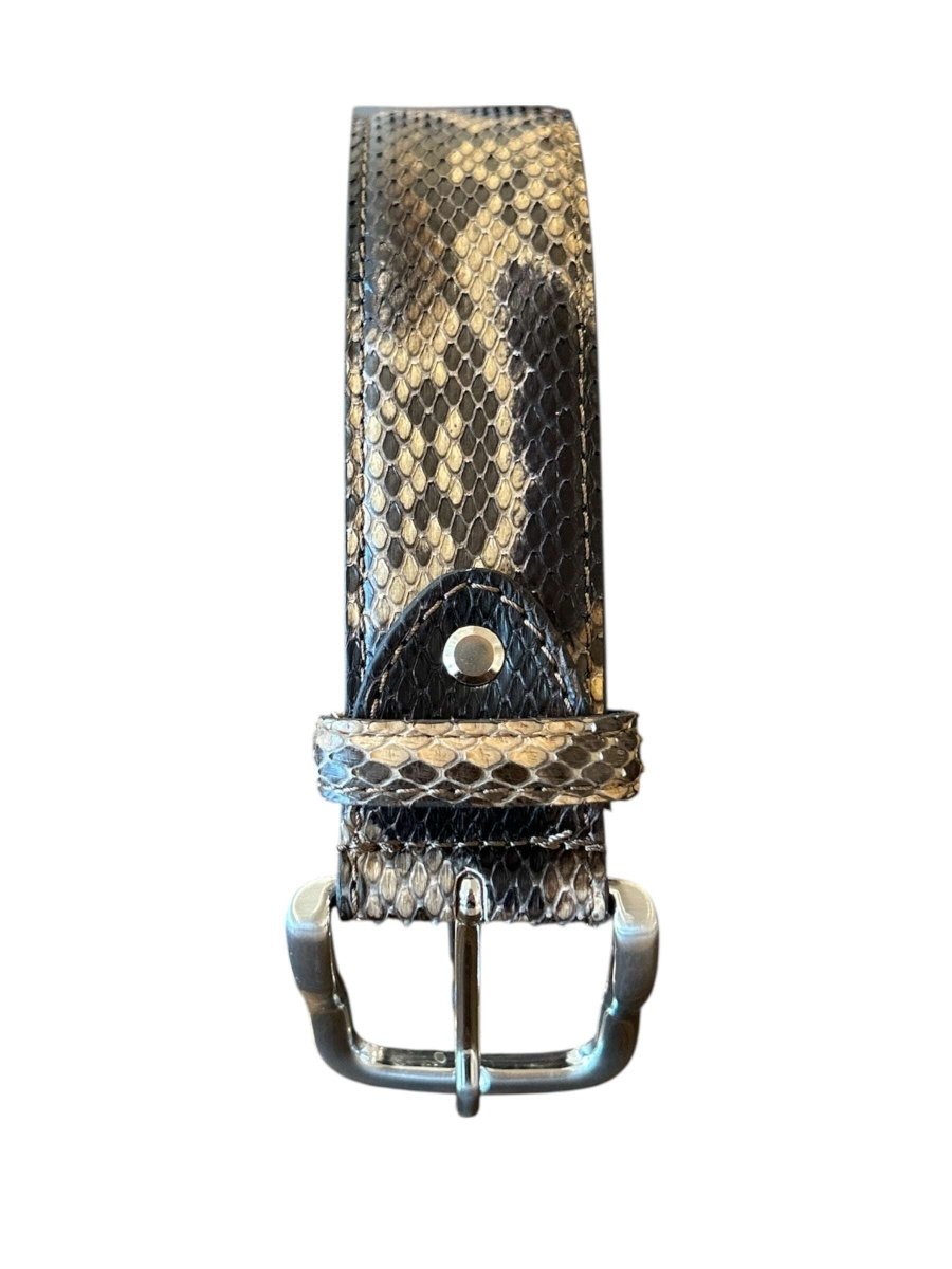 Chagall Mix Dark Brown Belt Python - AQUALTA