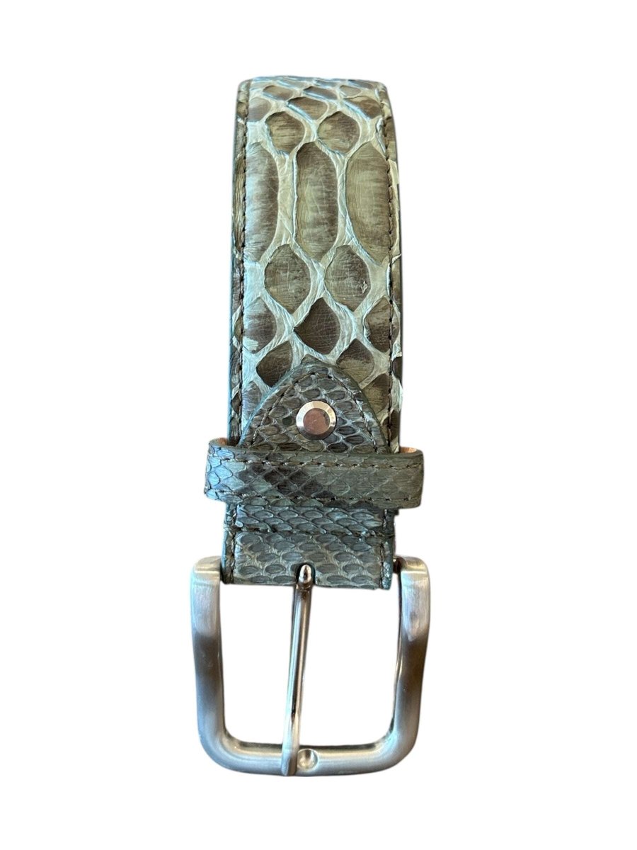 Chagall Mix Sage Green Belt Python - AQUALTA