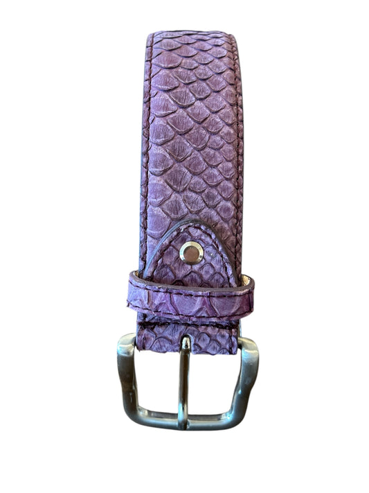 Purple Belt Python