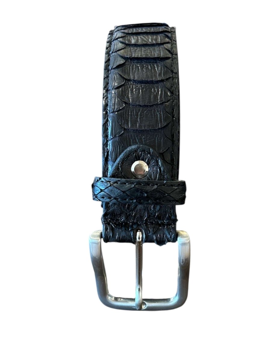 Black Belt Python - AQUALTA