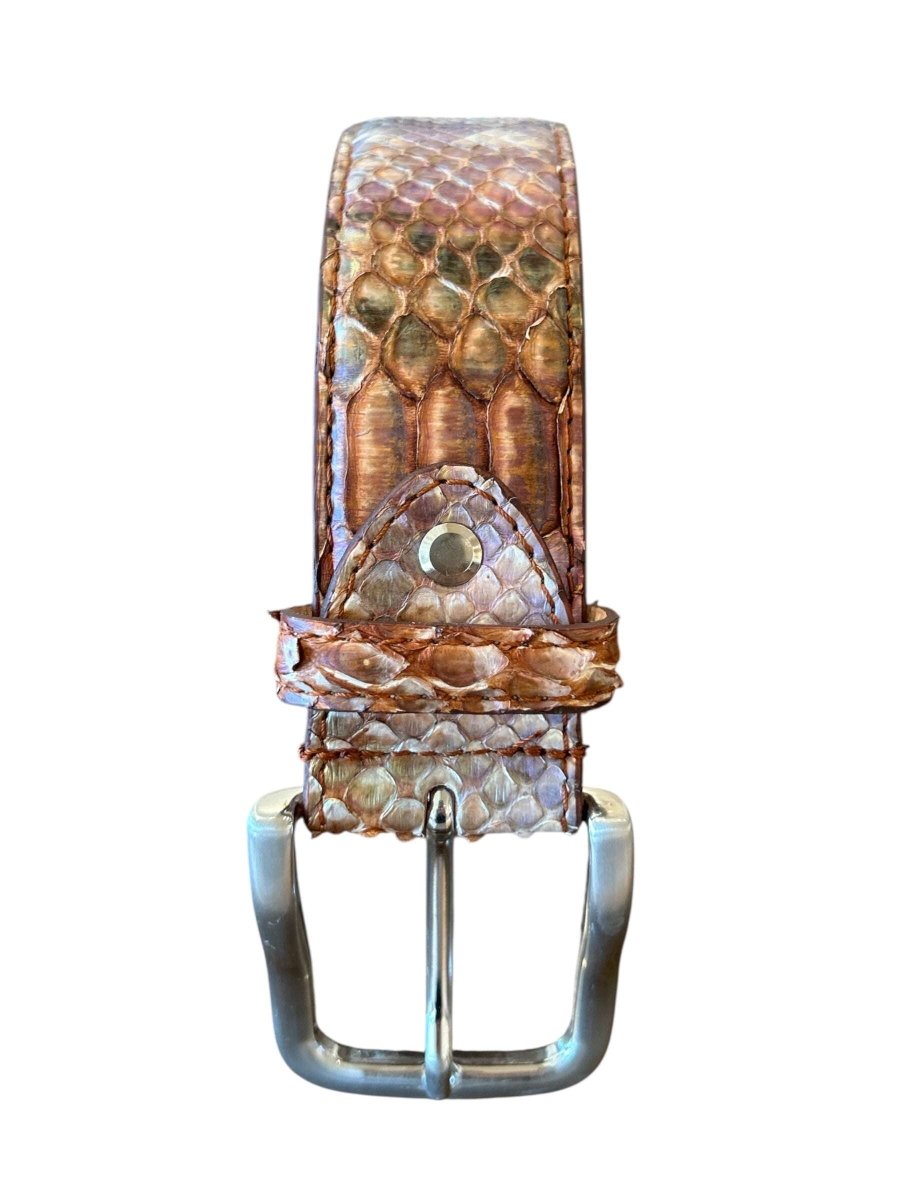 Chagall Mix Brown Belt Python - AQUALTA